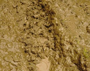 Pengolahan Sludge IPAL agar Lebih Padat dan Mudah Ditangani