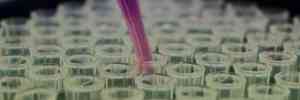 Water Treatment Chemicals